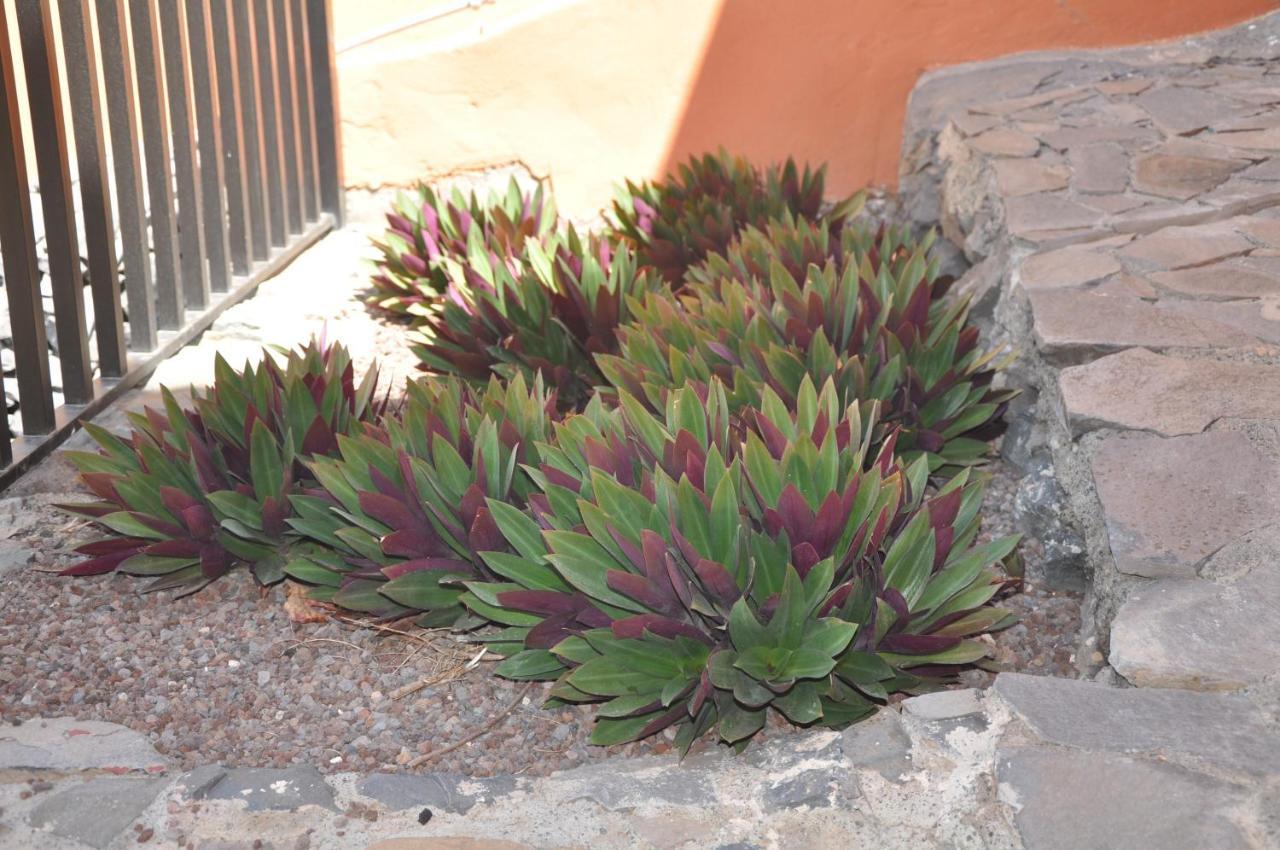 Vivienda Vacacional Villa El Mirador San Sebastián de la Gomera Eksteriør bilde